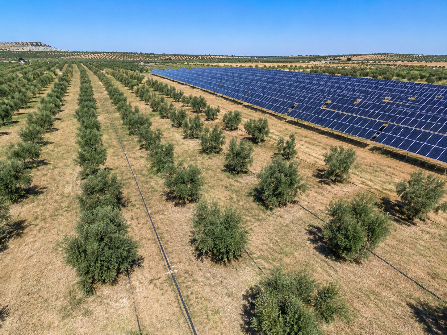 Solar-Powered Irrigation Reaches Over 5,000 Farms Across Tunisia